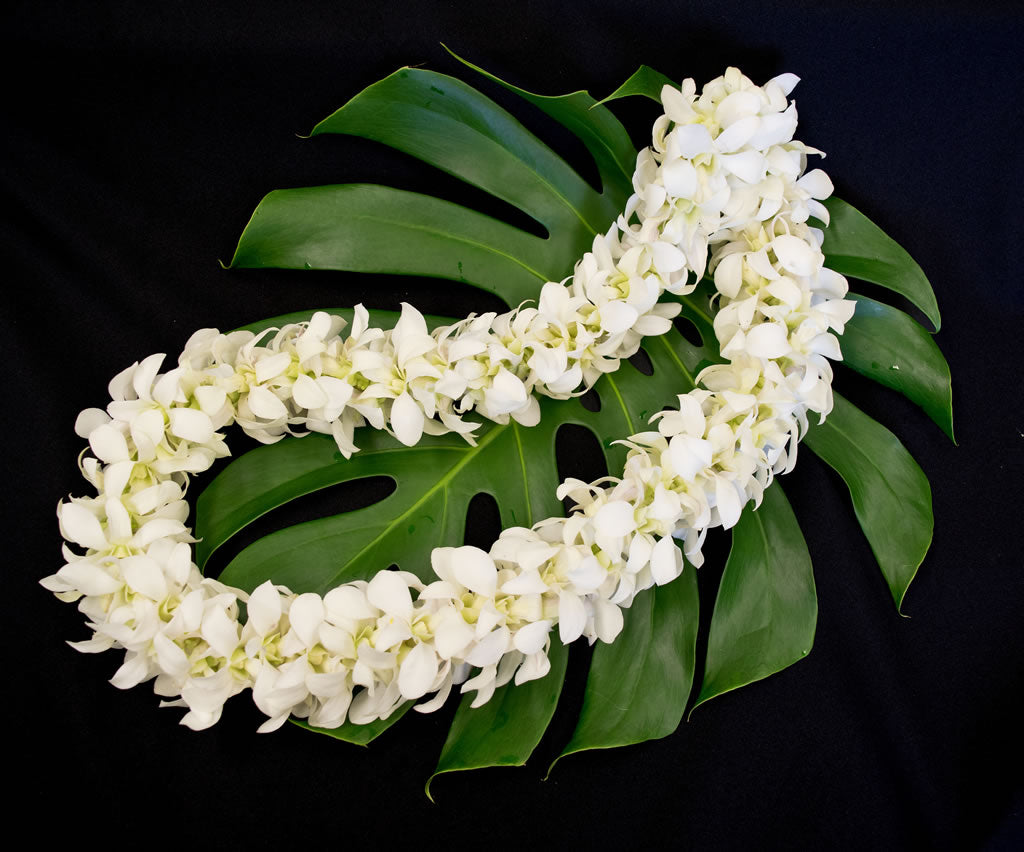 Double Strung Dendrobium Orchid Lei