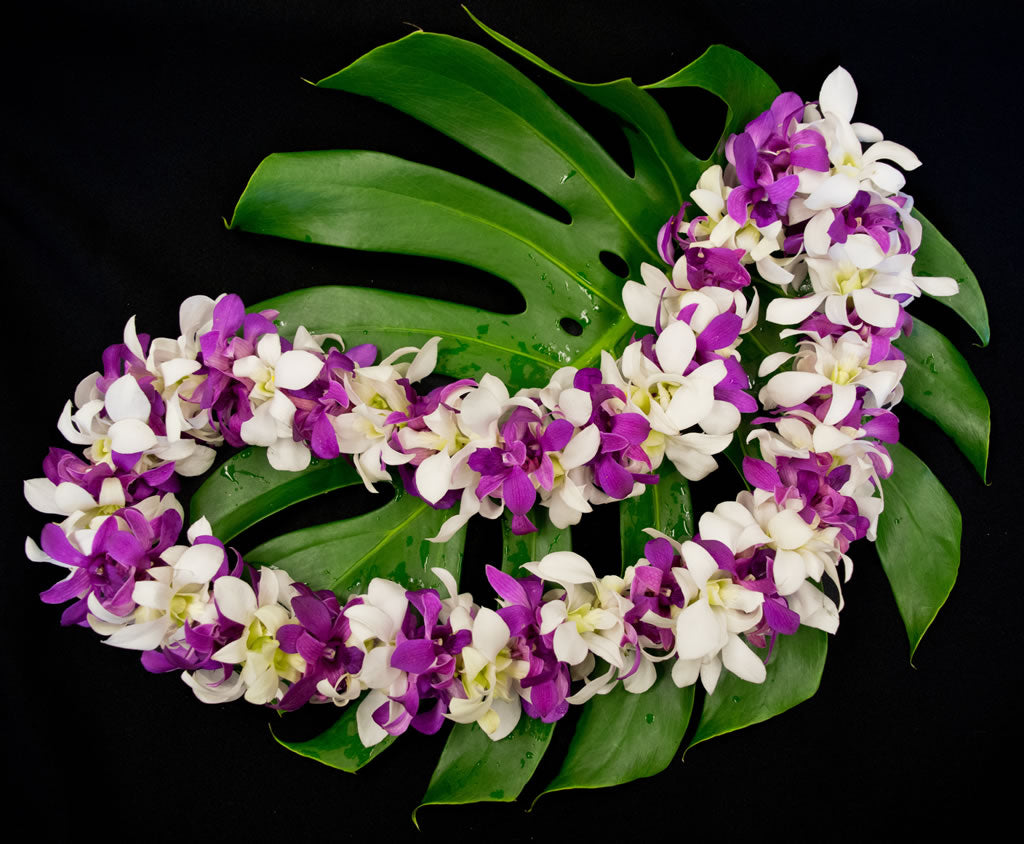 Double Strung Dendrobium Orchid Lei