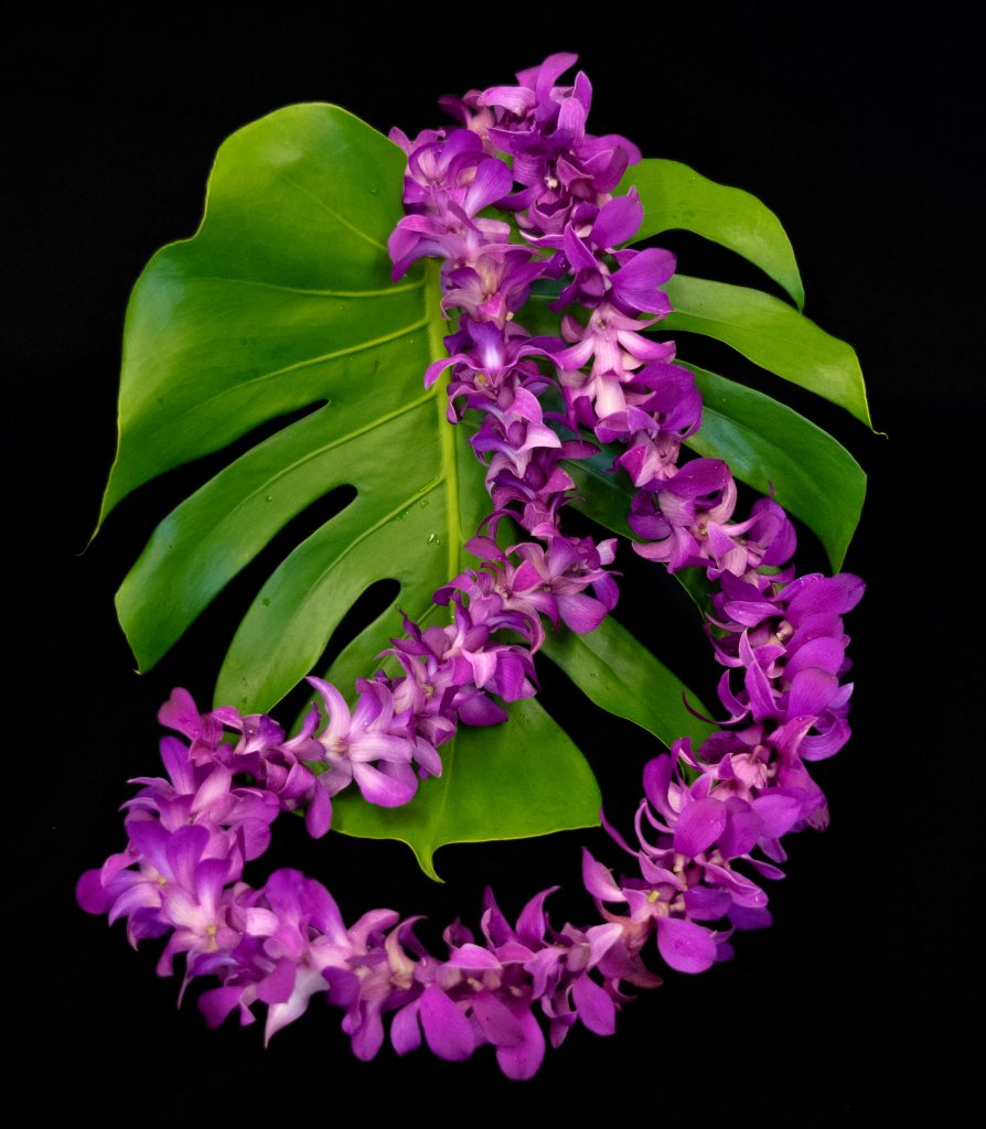 Single Strung Dendrobium Orchid Lei