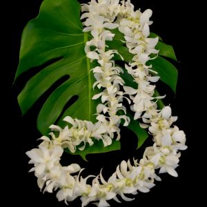 Single Strung Dendrobium Orchid Lei