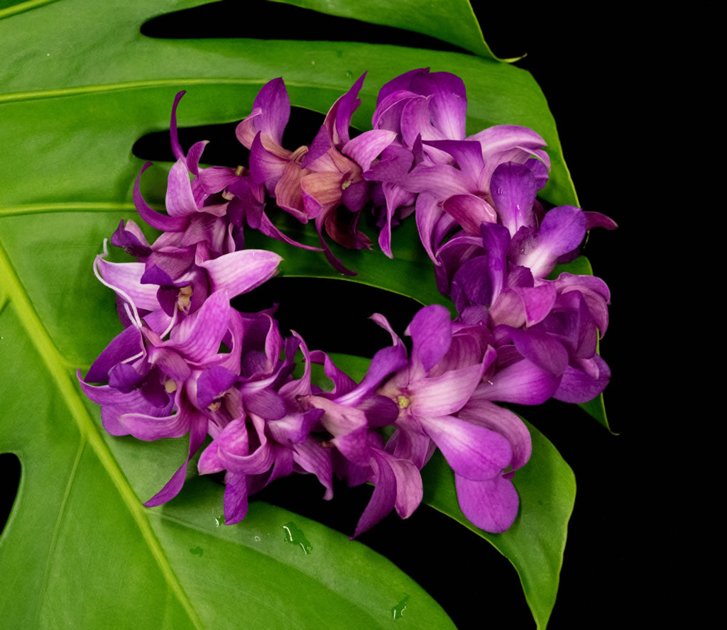 Wrist/Ankle Dendrobium Orchid Lei