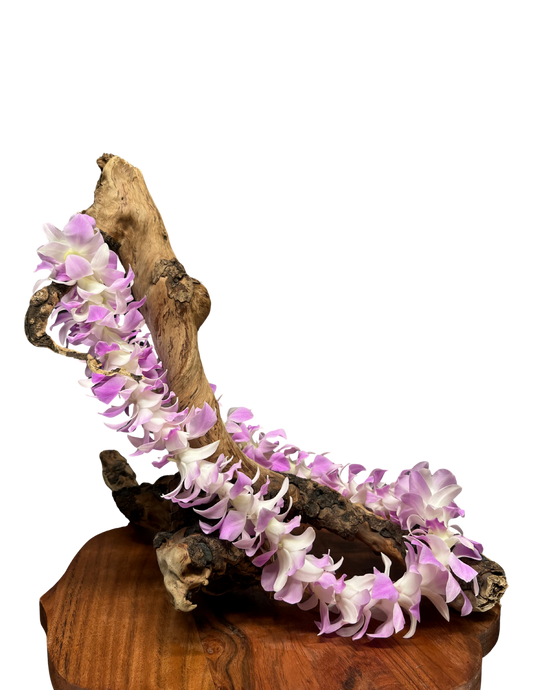 Single Pink Dendrobium Lei