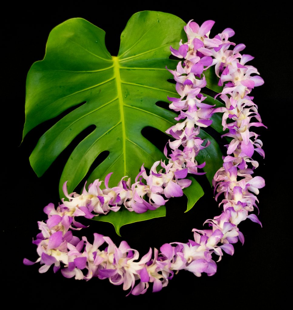 Single Strung Dendrobium Orchid Lei – Gecko Farms