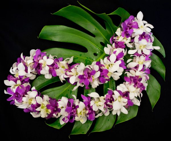 Orchid Lei (Double) - The Hawaiian Lei Company