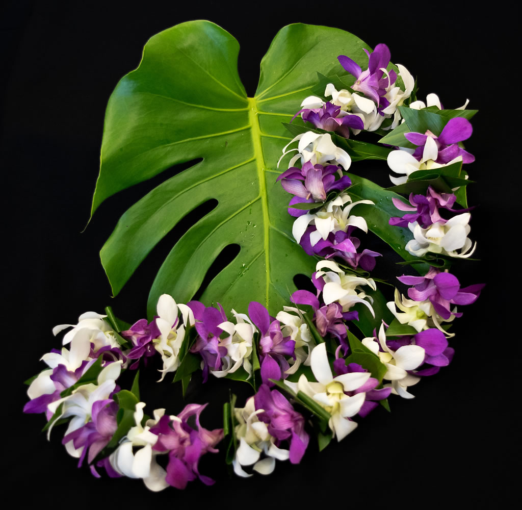 Purple White Dendrobium Lei With Ti Leaf Accents Gecko Farms Hawaii Leis Fresh Tropical Flowers