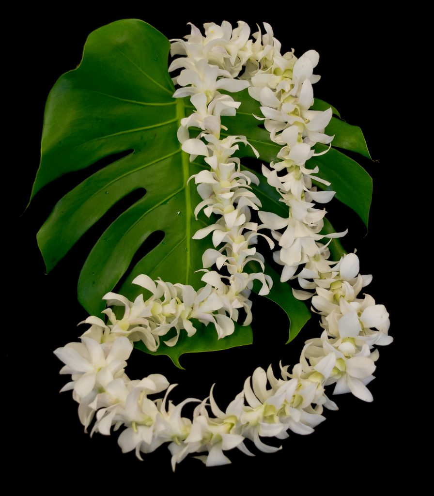 Single Strung Dendrobium Orchid Lei Gecko Farms Hawaii Leis Fresh Tropical Flowers